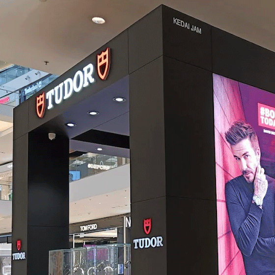 Tudor - Pop Up Pavilion