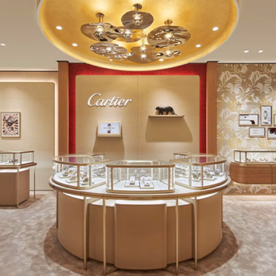 Cartier - Mid Valley Southkey (Swiss Watch)